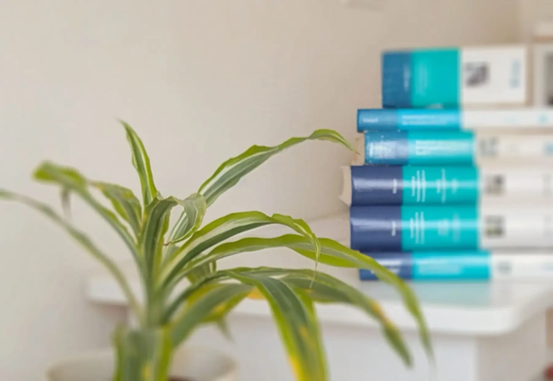 Ljekovita biljka i literatura za klasičnu homeopatiju, projekt Materia Medica Pura i stručni istraživački rad.