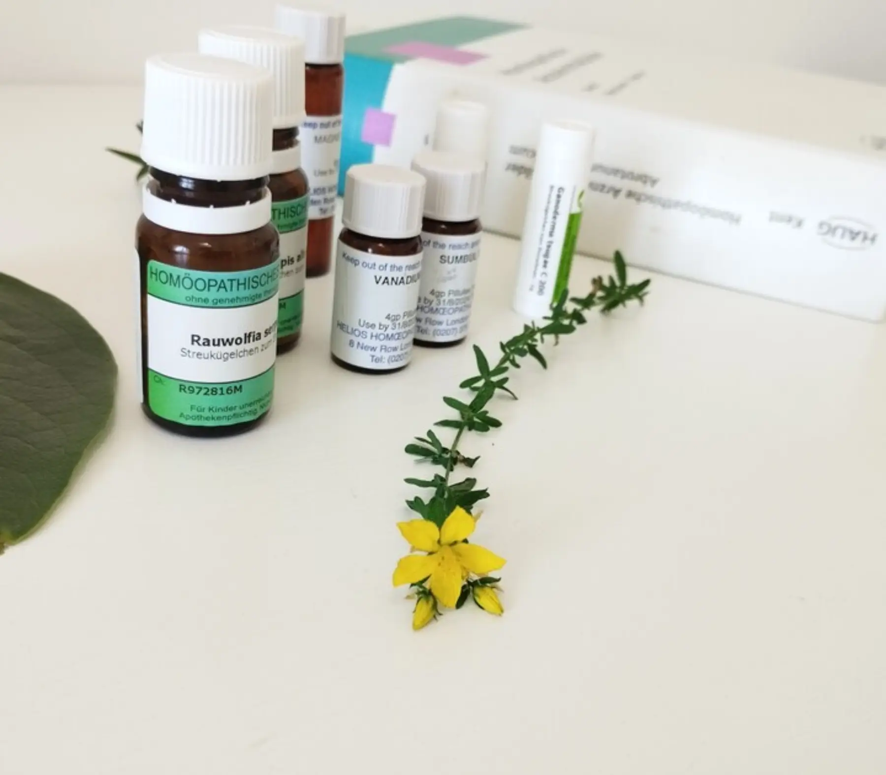 Homeopatske remedije i prirodna podrška za jačanje imuniteta i detox terapija za djecu i odrasle u Istri.